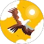 Benjamin Wollmann Avatar